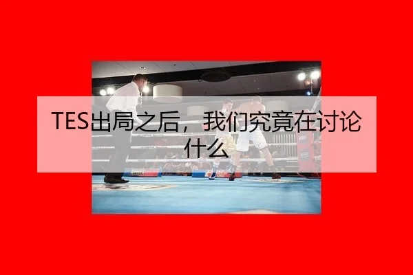 TES出局之后，我们究竟在讨论什么